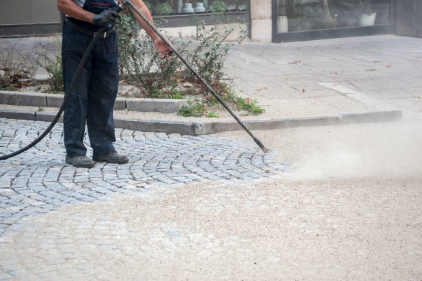 Best Pre-Holiday Cleaning  in Hagaman, NY